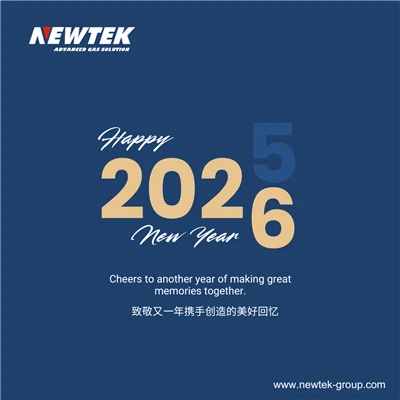 Новогоднее обращение NEWTEK Group к 2026 году: Продвижение газовых решений в ...